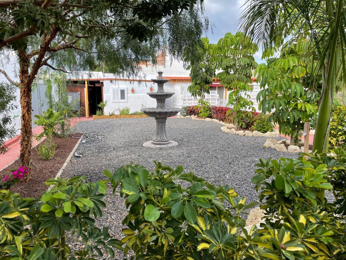 Casitas Rurales Amador Villa Arona  Exterior photo